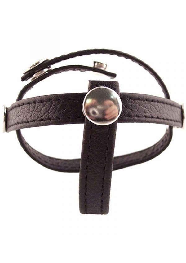 Rouge Three Piece Divider Adjustable Snap Leather Black