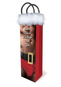 Santa Has A Big Package For You Gift Bag