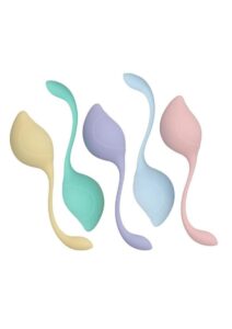 Loveline PelvFit Multiweight Stem Kegel Kit (5 Piece) - Multicolor